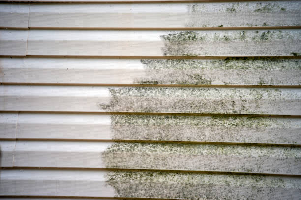 Best Mattress Disposal  in Clermont, FL