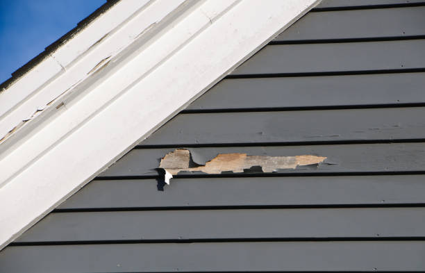 Best Construction Debris Removal  in Clermont, FL